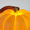 Portable Pumpkin Built In Battery Table Lamp