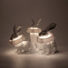 Rabbit X Table Lamp