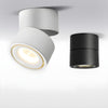 Rotatable Spotlight Ceiling Light