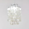 Round Shell Chandelier B