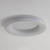 Round Shape Flush Ceiling Light