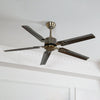 Rozzen Ceiling Fan