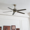 Rozzen Ceiling Fan