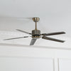 Rozzen Ceiling Fan