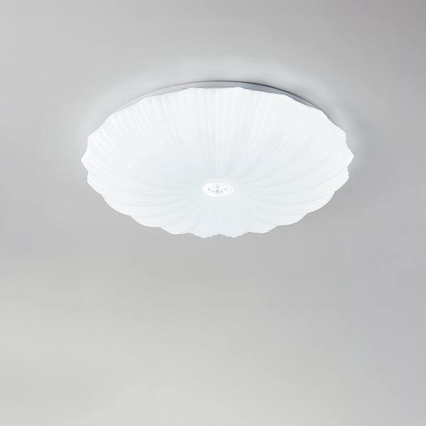 Shell Acrylic Round Ceiling Lamp