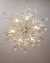 Sofia Chandeliers