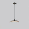 Thin Disc Pendant Lamp