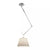 Rotatable Ceiling Pendant Light