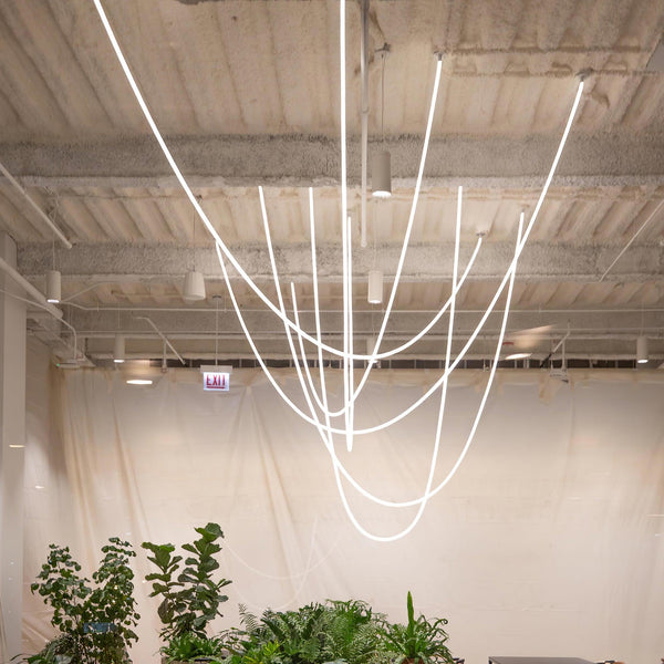 Flexible Curve Line Pendant Lamp