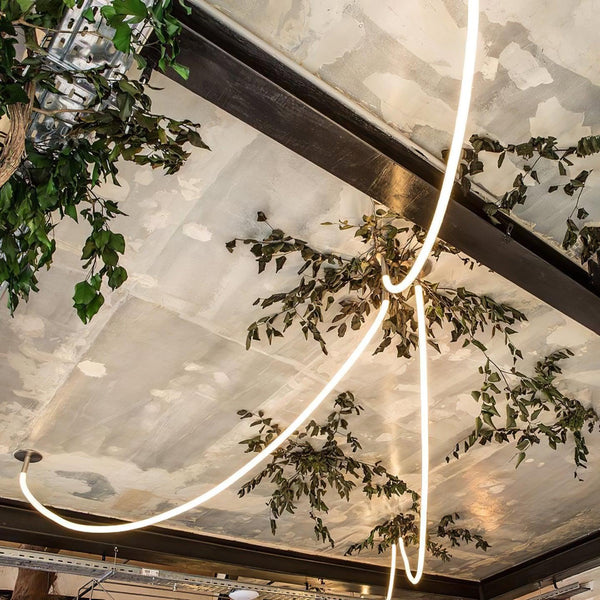 Flexible Curve Line Pendant Lamp