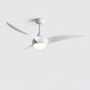 Traditional Ceiling Fan Light