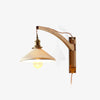 Walnut Swing Arm Wall Lamp