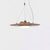 Wanderer Pendant Lamp