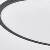 Lighting Ceiling Lights Flush Mount Lighting_Tli00222