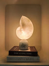 alabaster brass shell table lamp