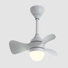 Lighting Ceiling Lights Ceiling Fans_4Rmck