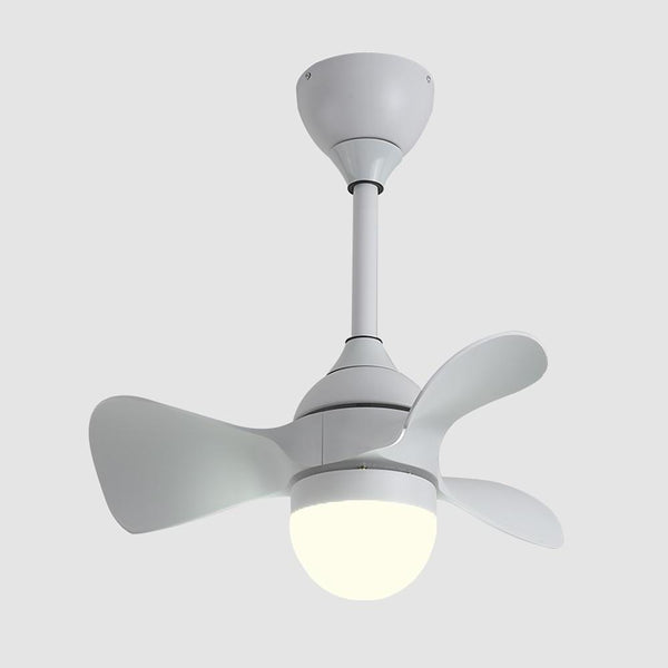 Lighting Ceiling Lights Ceiling Fans_4Rmck
