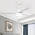 Lighting Ceiling Lights Ceiling Fans_4Huqc