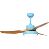 Lighting Ceiling Lights Ceiling Fans_4Huqc