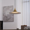 lacquered aluminum arch pendant light