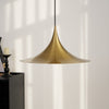 lacquered aluminum arch pendant light