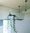 lacquered aluminum arch pendant light