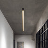 Minimalist Strip Intelligent Remote Control Stepless Dimming Ceiling Light