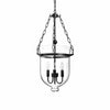 modern black iron glass cloche pendant light