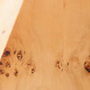 modern burl wood organic table lamp