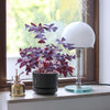 modern chrome clear glass bauhaus table lamp