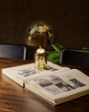 modern gold acrylic dome table lamp