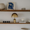 modern gold acrylic dome table lamp