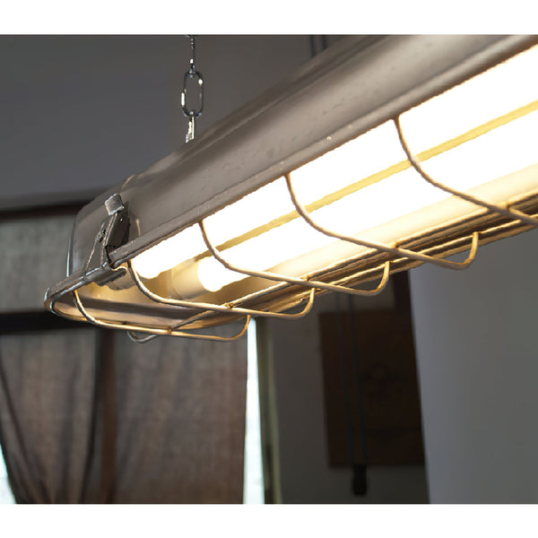 modern metallic cage clear glass pendant light