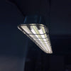 modern metallic cage clear glass pendant light