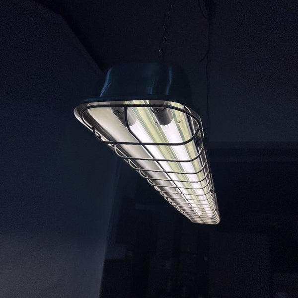 modern metallic cage clear glass pendant light