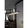 modern metallic cage clear glass pendant light