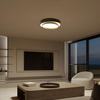 modern white iron disc flush mount ceiling light