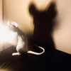 Mouse Table Lamp