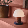 mushroom cordless led table lamp touch control rechargeable