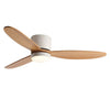 Led Inverter Silent Nordic Light Fan Ceiling Fan With Lamp