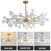 Lighting Ceiling Lights Chandeliers_5513O