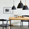 Strap Suspension Lamp