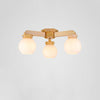 Lighting Ceiling Lights Pendant Lighting_4Z051