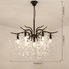 Lighting Ceiling Lights Chandeliers_43Fwp