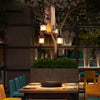 Lighting Ceiling Lights Pendant Lighting_3V4Vu