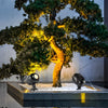 Round Tree Spot Lights Ha077575