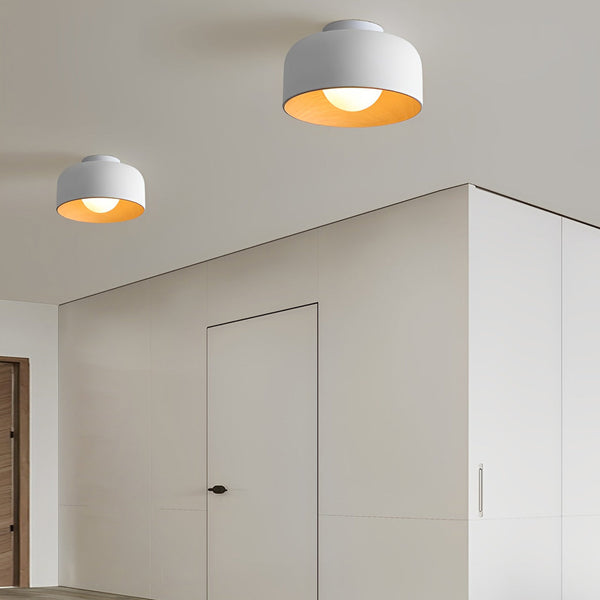 Bowl Shaped Led Ceiling Light Li002070