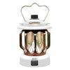 Portable Rechargeable Outdoor Lanterns Li002357