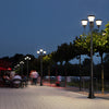 3 Light Black Finish Traditional Outdoor Street Light