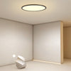 Lighting Ceiling Lights Flush Mount Lighting_Tli00222